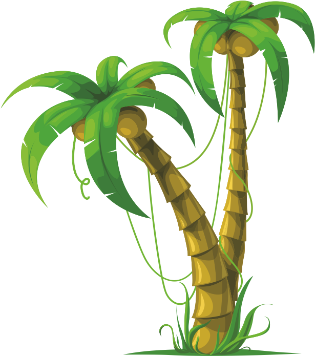 Dibujos Palmeras Png - Coconut Tree Vector Ai Clipart (800x774), Png Download
