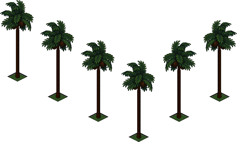 Palmeras - Attalea Speciosa Clipart (774x465), Png Download