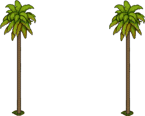 Palmeras - Sabal Palmetto Clipart (1024x768), Png Download