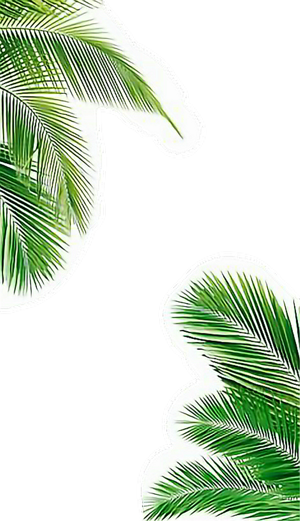 Palmera Sticker - Iphone Background Palm Trees Clipart (1024x1778), Png Download