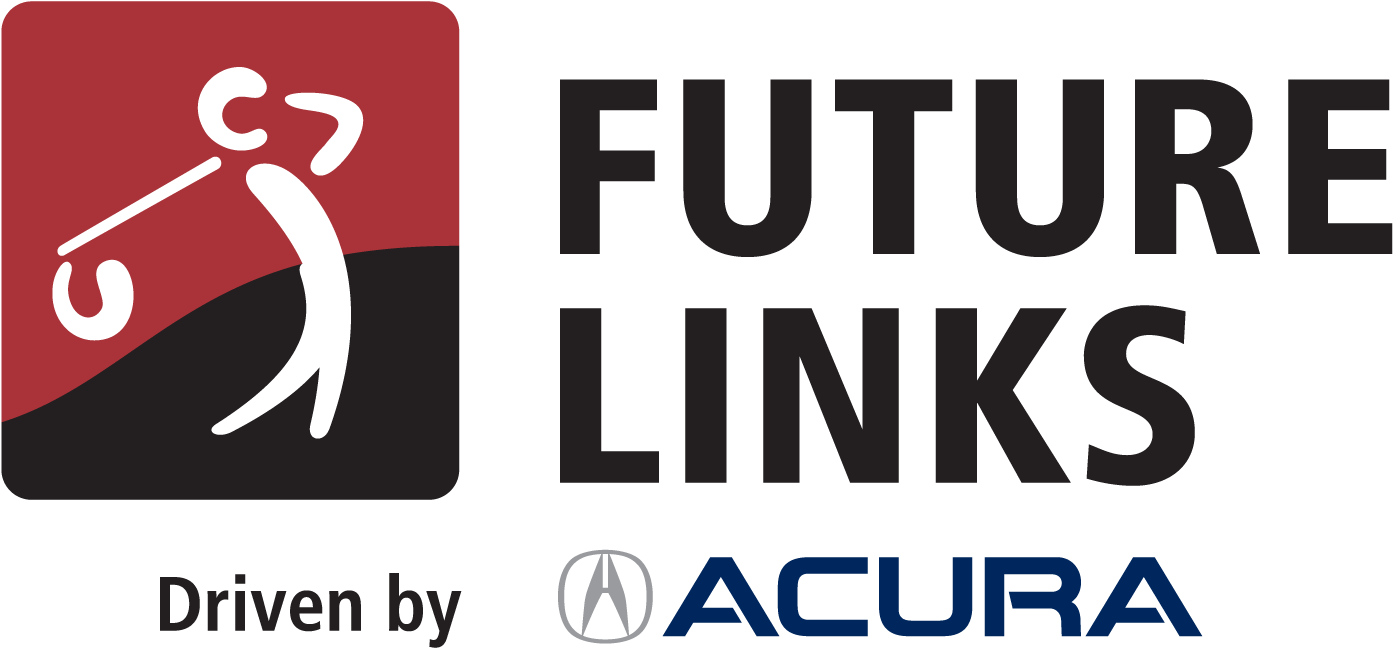 Future link. Future canada поставщик. Future link. Undertale future. Future link.