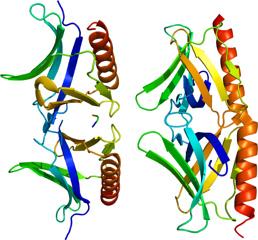 Homer2 Clipart (900x841), Png Download