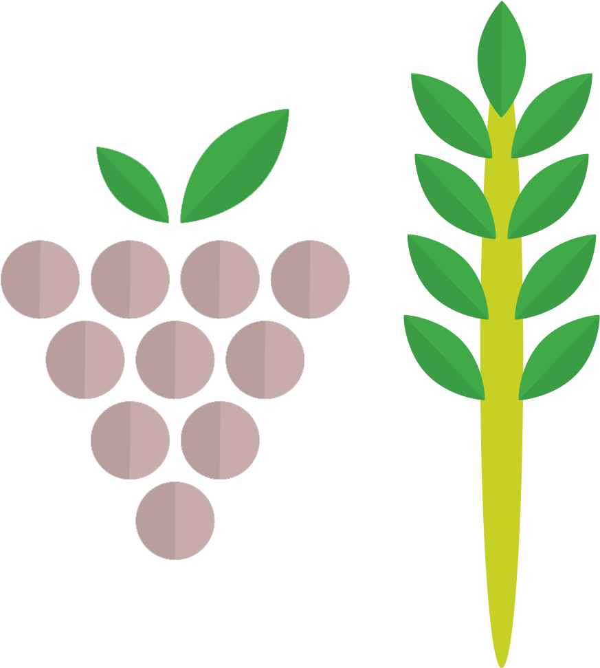 1134 X 1134 - Grape Clipart (1134x1134), Png Download