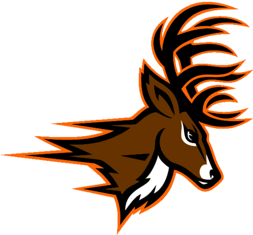 Buck Daddy Logos - Deerfield Beach High School Logo Clipart (600x548), Png Download