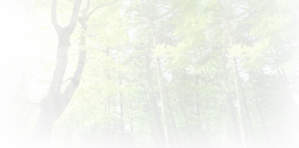 Brackets - Handwriting Clipart (985x488), Png Download