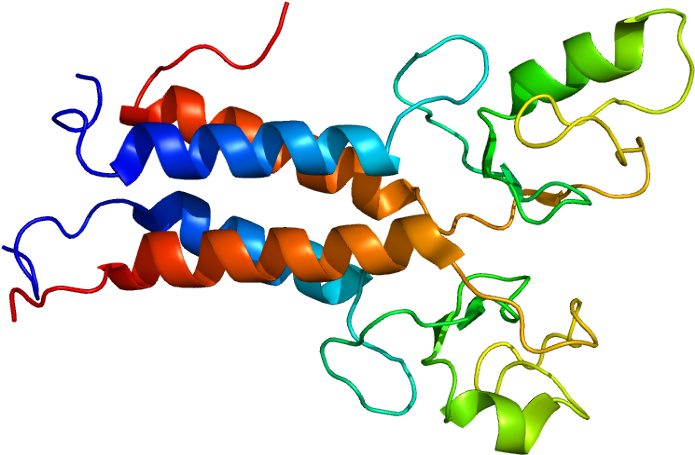 Protein Bard1 Pdb 1jm7 - Brca1 Gene Clipart (744x504), Png Download