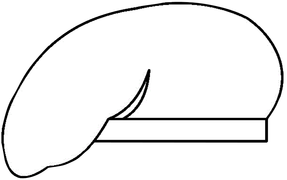 Beret White - Oval Clipart (954x600), Png Download