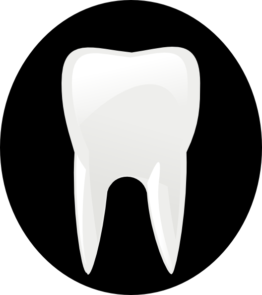 Cartoon Teeth - Clipart Library - Free Tooth - Png Download (528x594), Png Download