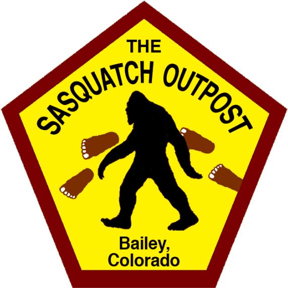 Flea Life Cycle Clipart (600x585), Png Download