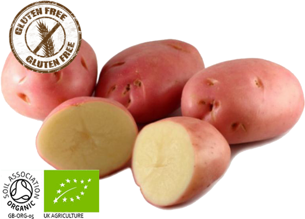 Organic Desiree Potatoes - Batata Asterix Clipart (640x480), Png Download