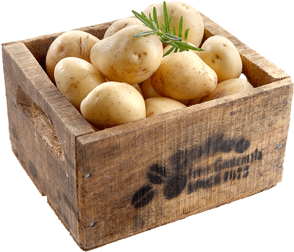 View Certified Potatoes - Russet Burbank Potato Clipart (700x685), Png Download
