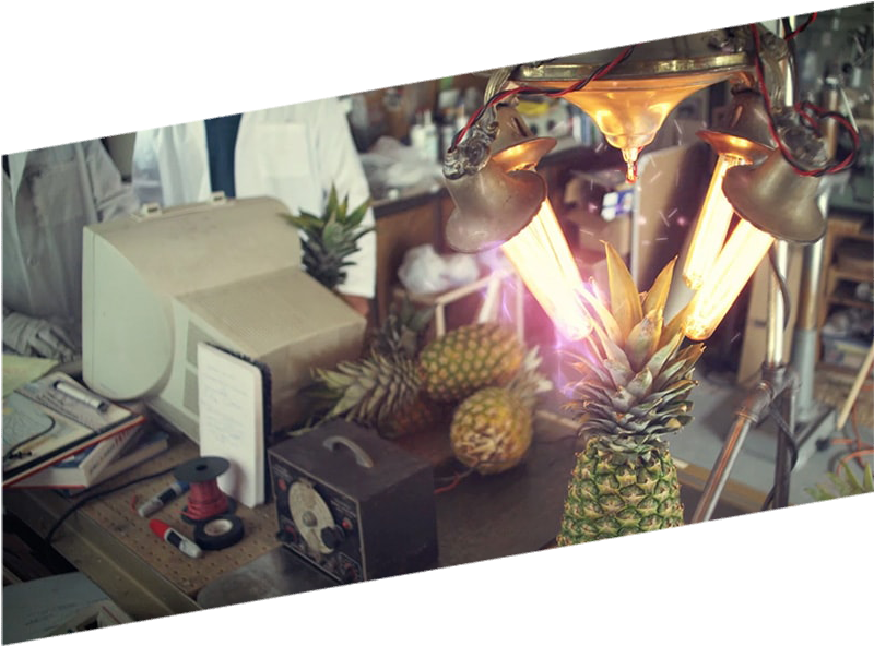 Honeyville Time Machine - Pineapple Clipart (800x600), Png Download