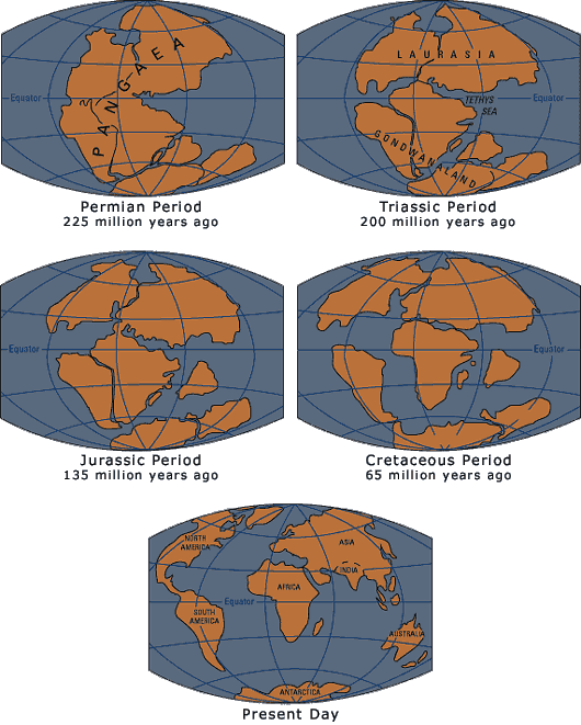 This Is When Pangaea Began To Break Apart And The Continents - Pangea 250 Years Ago Clipart (530x661), Png Download