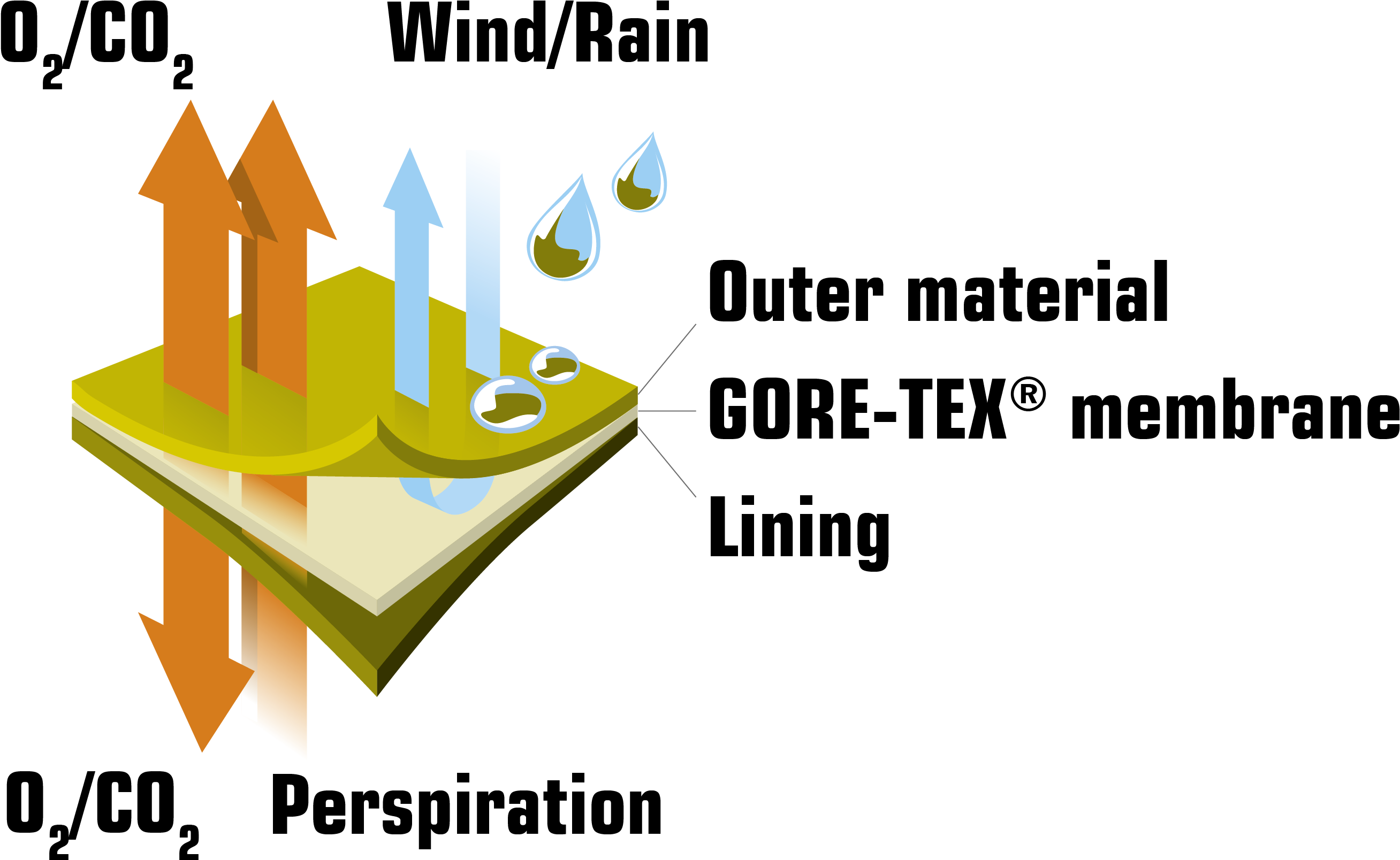 Gore Grafik - Snowtrex Clipart (2626x1662), Png Download