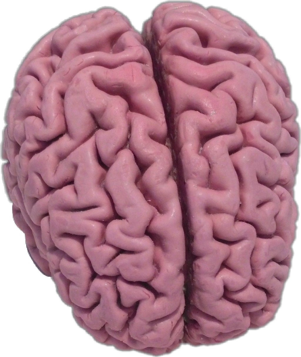 Tongue Clipart (1024x1212), Png Download