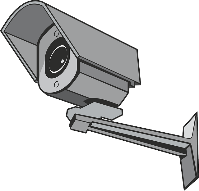Privacy Guard - Security Camera Clipart - Png Download (640x615), Png Download