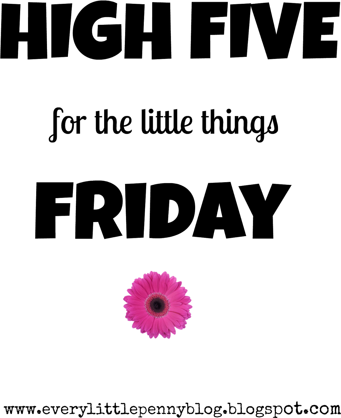 My Husband And I Finally Attempted To Make Our Own - Barberton Daisy Clipart (1600x1600), Png Download