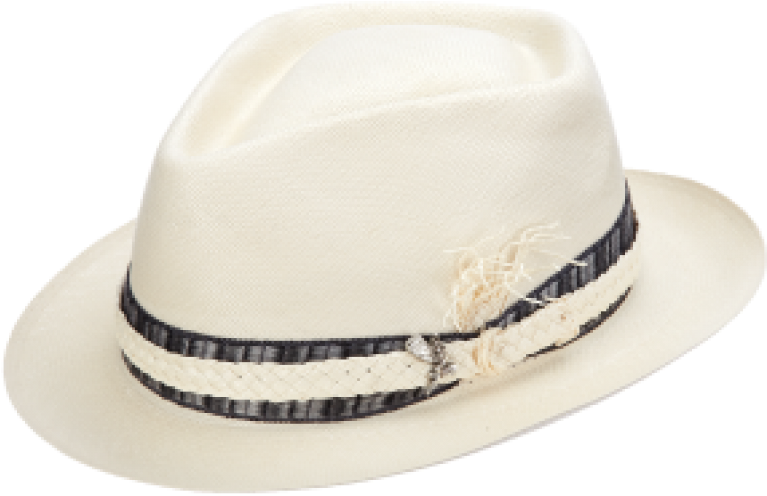 Rewind , Png Download - Sombrero Clipart (859x556), Png Download