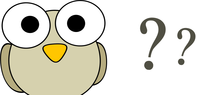 Why Do Birds - Bird Face Clipart - Png Download (800x389), Png Download
