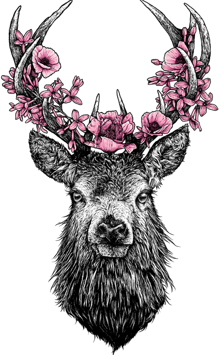 Cute & Dark <3 - Deer Transparent Clipart (449x723), Png Download
