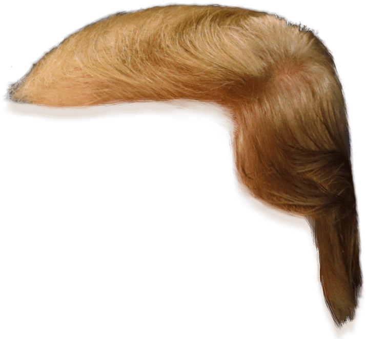Donald Trump Hair Clip Art - Png Download (736x664), Png Download