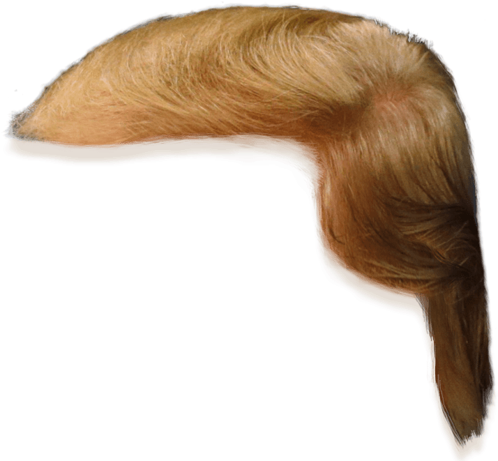Donald Trump Hair Clip Art Png Download Large Size Png Image Pikpng