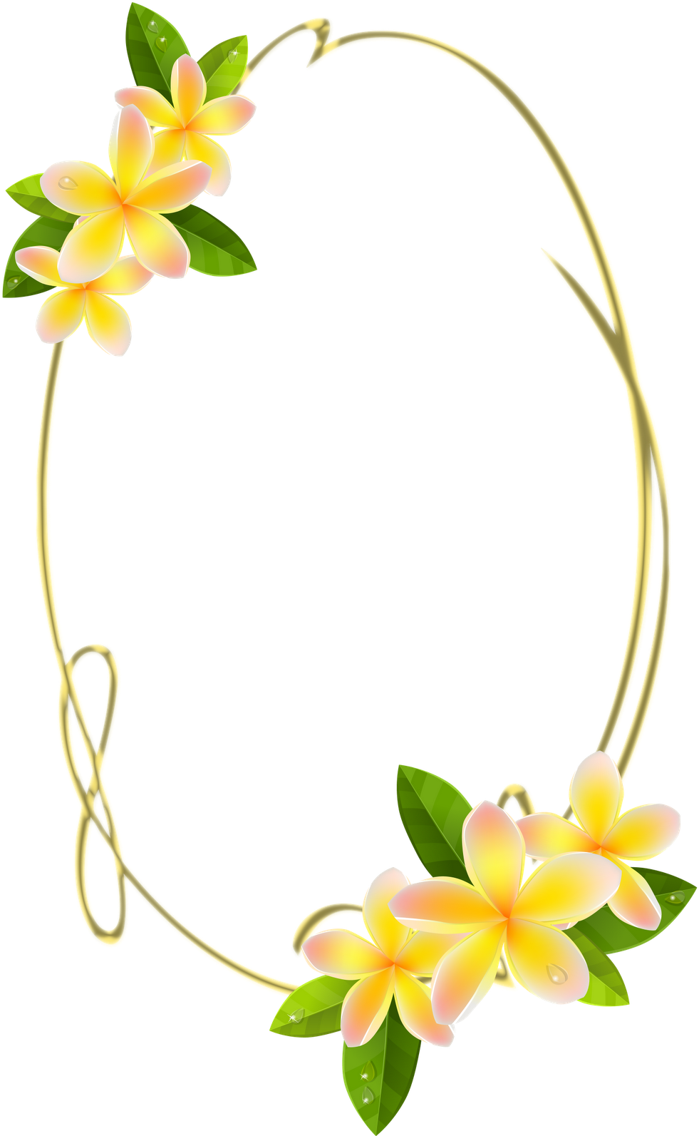 Deixo Aqui Varias Frames Png Oval Com Flores Para Enfeite - Moldura Oval De Flores Clipart (1067x1600), Png Download