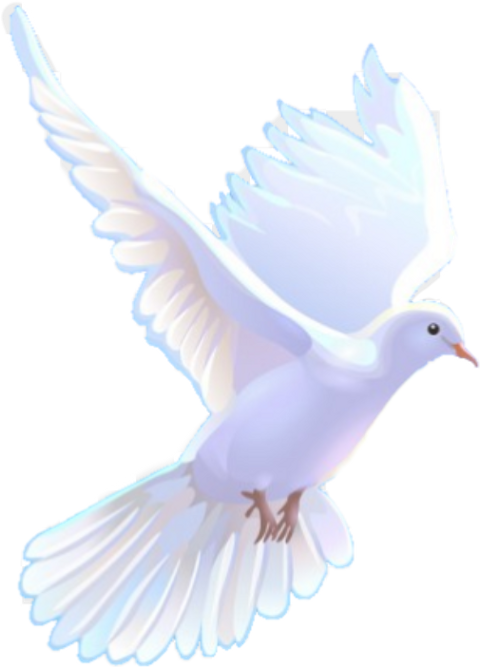 Всемирный День Русского Единения Clipart (480x667), Png Download