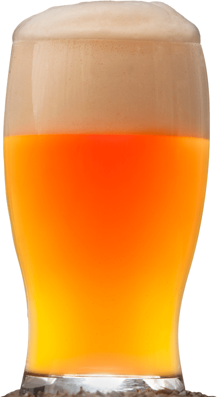 Cerveza Artesana Ecológica - Cerveza Artesanal Png Clipart (800x808), Png Download