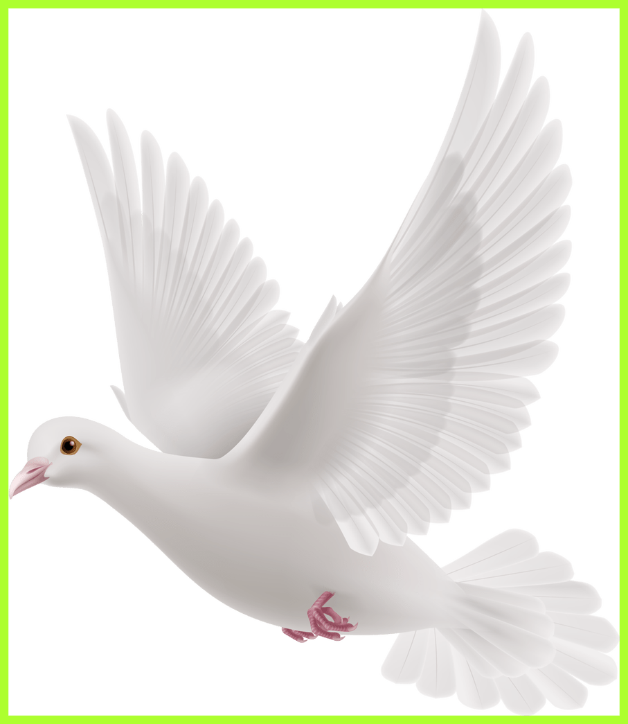 Fascinating Doves Preobrazovannyj Png Clip Art Album - White Pegions For Editing Transparent Png (907x1045), Png Download