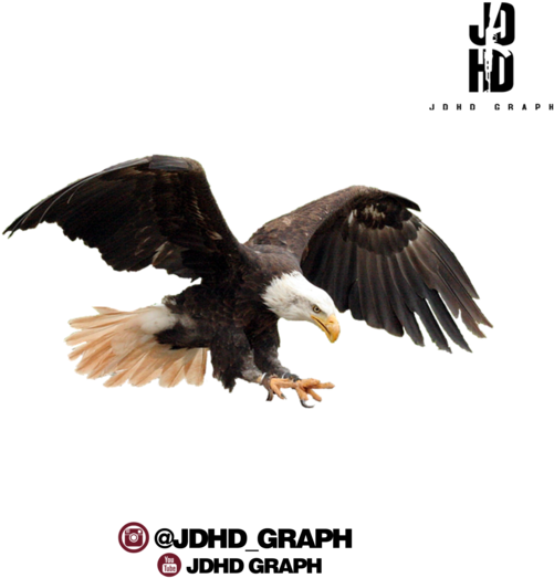 Aguila Full Hd - Aguia Png Clipart (660x600), Png Download