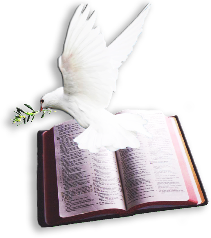 Bible With Dove Logo Clipart (1024x820), Png Download