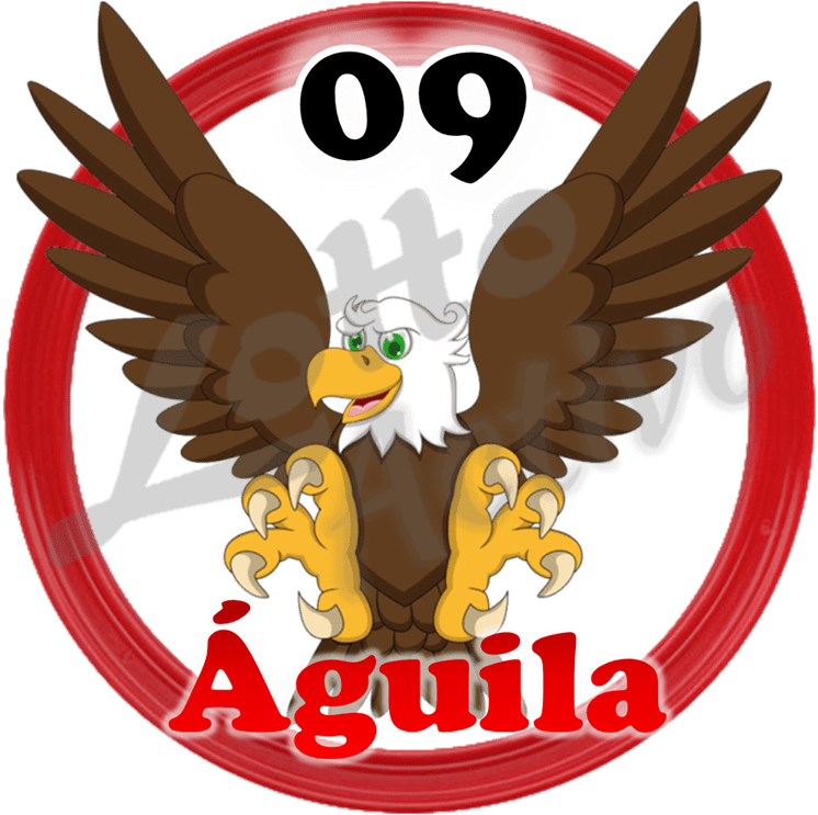 20 Sep - Aguila Lotto Activo Clipart (1024x853), Png Download