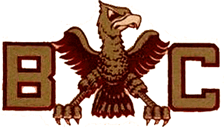 Boston College Eagles Iron On Stickers And Peel-off - Buzzard Clipart (750x930), Png Download