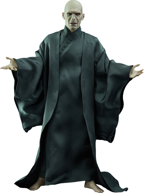 Harry Potter All Souls Catholic Primary School - Lord Voldemort Full Body Clipart (480x642), Png Download
