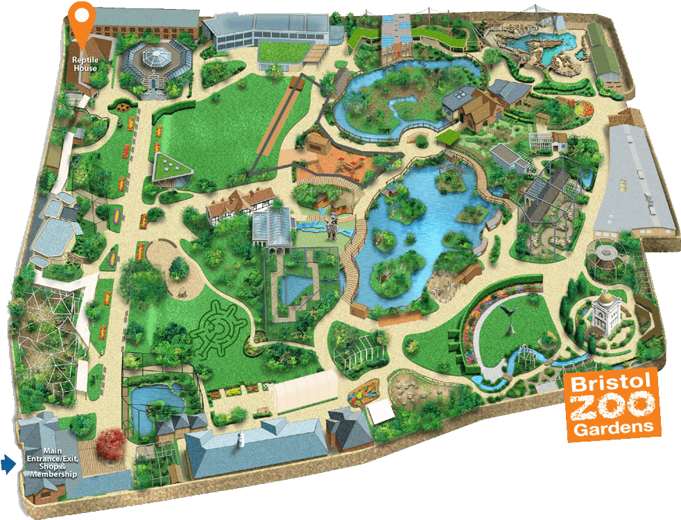 Bristol Zoo Gorilla Island Clipart (999x801), Png Download