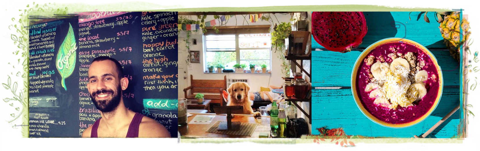 Under The Mango Tree Miami Clipart (1661x523), Png Download