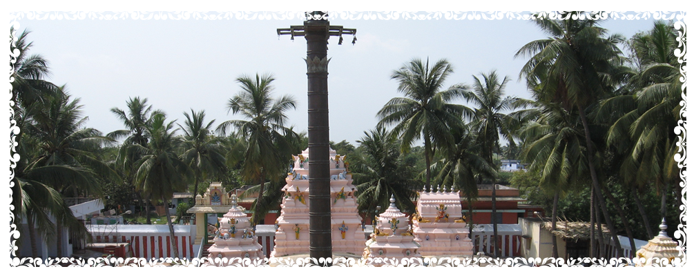 Attalea Speciosa Clipart (1005x403), Png Download