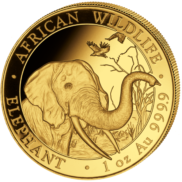 Somalia Elephant 1oz Gold Coin 2018 Motif - Onze Gold Bullion Coin Clipart (600x600), Png Download