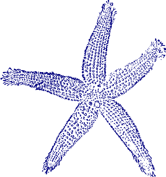 Maehr Starfish Wedding Svg Clip Arts 564 X 599 Px - Png Download (564x599), Png Download