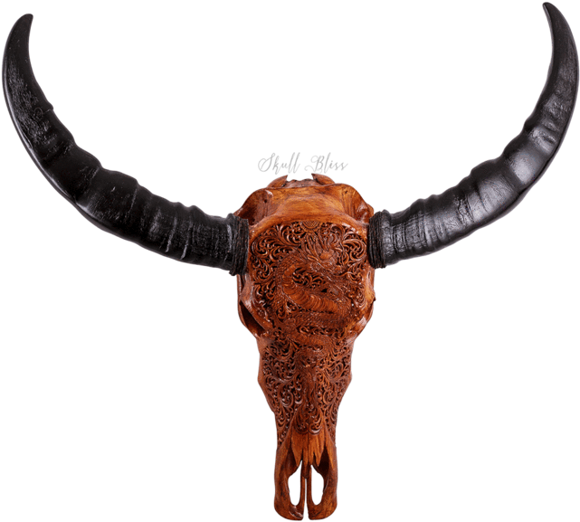 Carved Buffalo Skull - Horn Clipart (641x577), Png Download