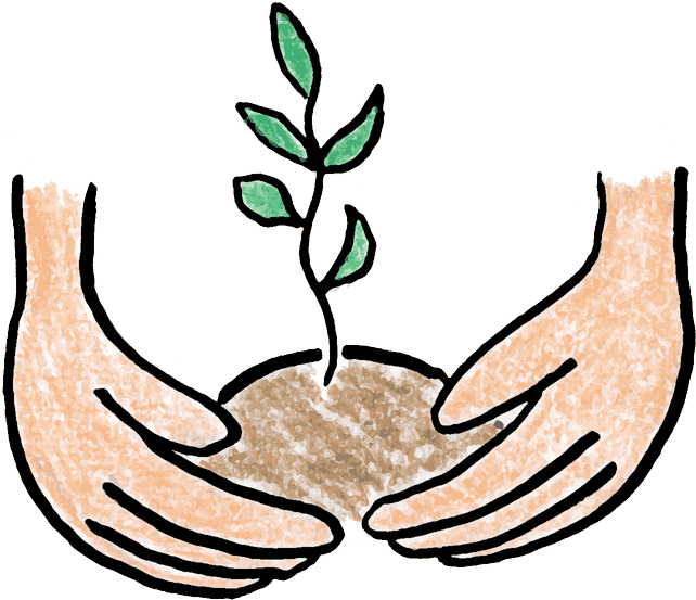 Bushes Clipart Tress - Plant Trees Clip Art Png Transparent Png (650x558), Png Download