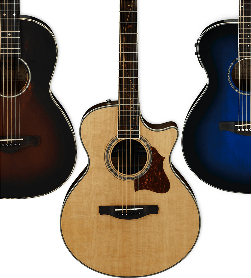 View More - Semi Acoustic Guitar Clipart (800x900), Png Download