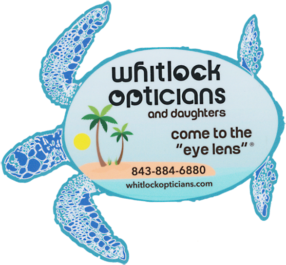 Call Us Today - Green Sea Turtle Clipart (600x557), Png Download