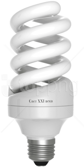 Energy Bulb Png Clipart (480x720), Png Download