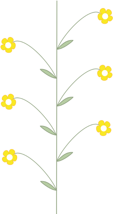 Raceme, Deutzia Gracilis Raceme - Common Tansy Clipart (800x800), Png Download