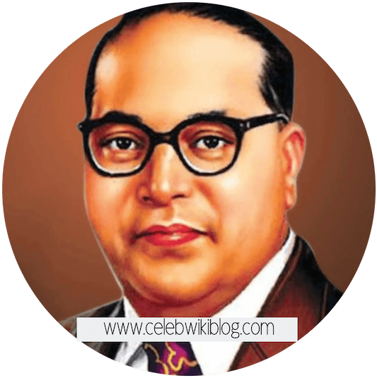 Ambedkar Biography, Wiki, Awards, Family, Education - Dr Babasaheb Ambedkar Hd Clipart (960x540), Png Download
