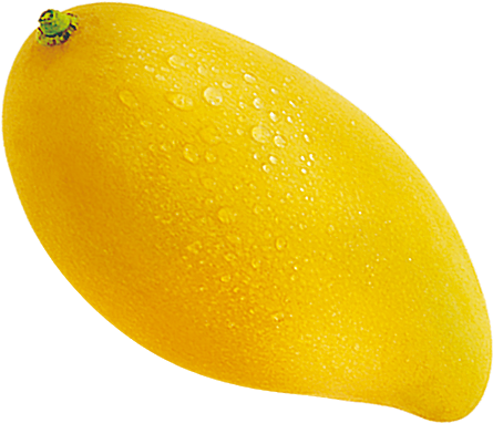 Yellow Mango - มะม่วง รูปภาพ ผล ไม้ Clipart (572x640), Png Download