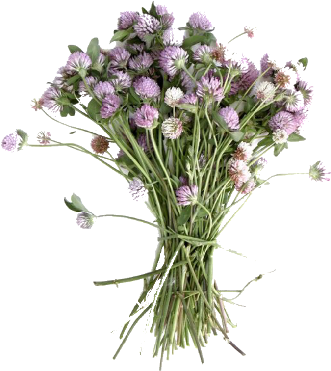 Pngs /like Or Reblog If Used/ - Bouquet Clipart (990x1280), Png Download