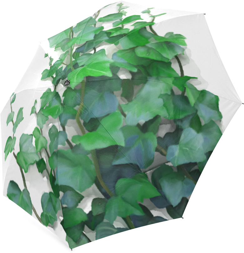 Download Climbing Plants Png Clipart Png Download PikPng